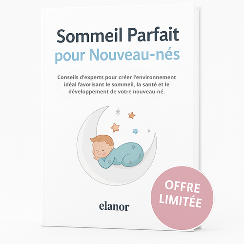 Ebook